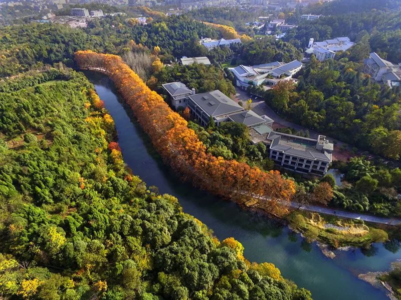 自動雷達(dá)水位雨量監(jiān)測系統(tǒng)監(jiān)測江河流量