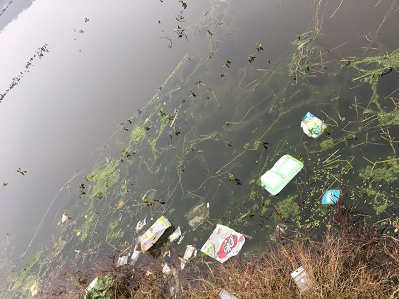 生物毒性檢測(cè)儀測(cè)定受污染水體的急性毒性