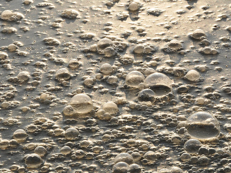 在線總氮監(jiān)測儀可監(jiān)測生活廢水