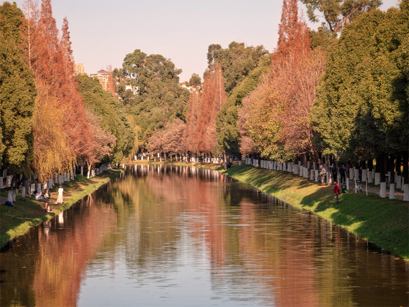 水質(zhì)檢測儀