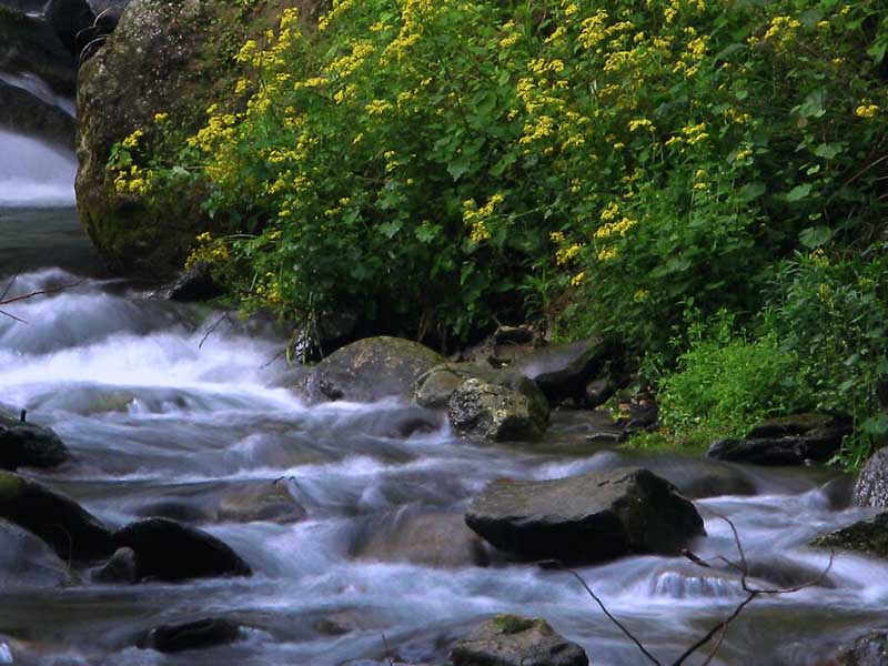 最新地表水水質(zhì)監(jiān)測數(shù)據(jù)統(tǒng)計 最新地表水水質(zhì)監(jiān)測數(shù)據(jù)統(tǒng)計