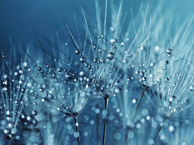 浮漂式水質(zhì)監(jiān)測站可以監(jiān)測哪些指標(biāo)