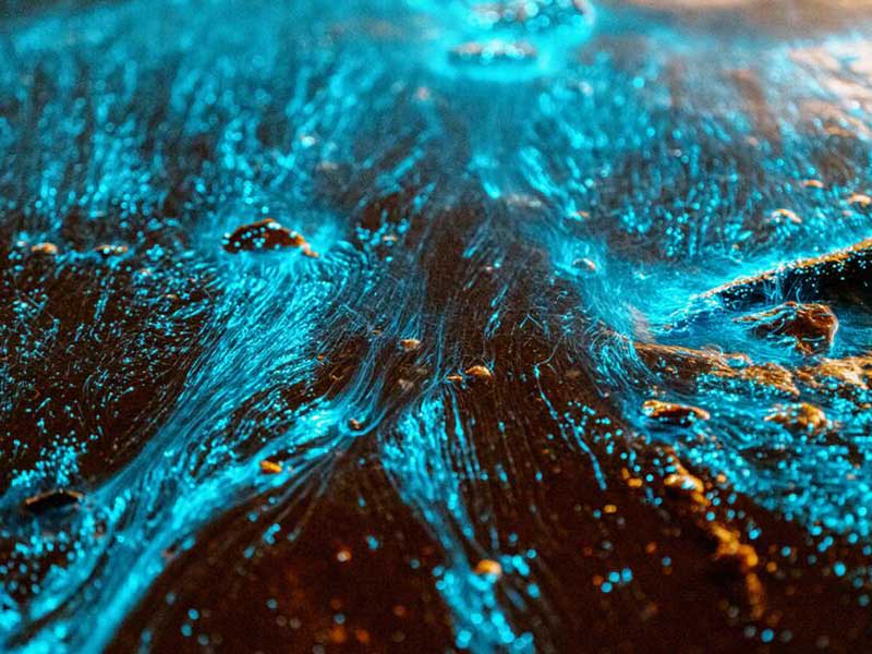 全自動(dòng)紫外測(cè)油儀檢測(cè)樣品數(shù)量