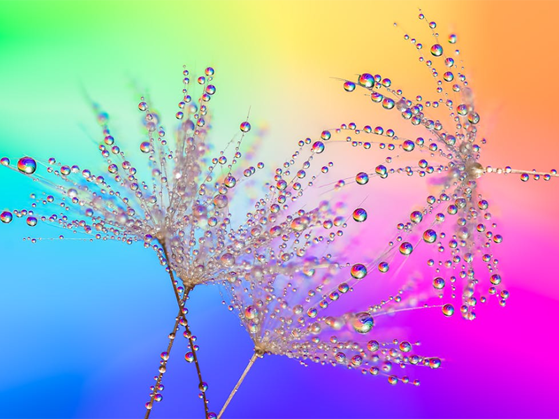 生活飲用水硝酸鹽標準值