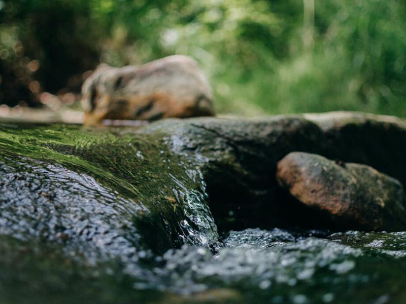葉綠素對(duì)水質(zhì)有什么影響(不同水質(zhì)葉綠素a標(biāo)準(zhǔn)限值)