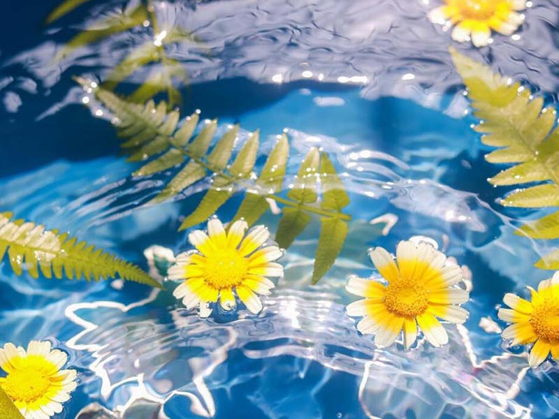 水環(huán)境中微塑料的生態(tài)風(fēng)險(xiǎn)(微塑料對(duì)水環(huán)境的影響)