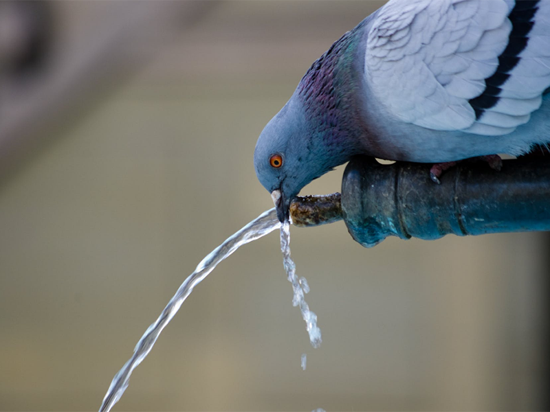 二次供水升級(jí)中水質(zhì)監(jiān)測(cè)設(shè)備的作用（水質(zhì)監(jiān)測(cè)設(shè)備功能特點(diǎn)）