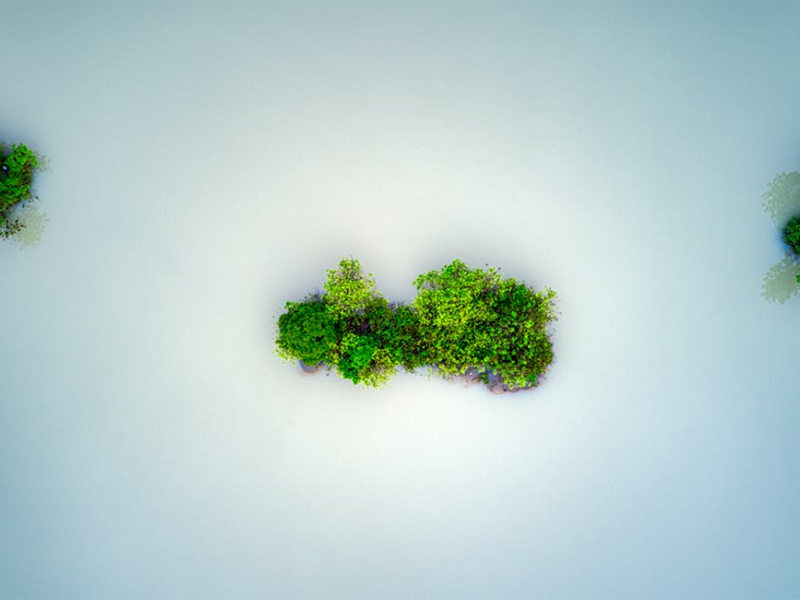 如何正確保養(yǎng)COD快速測定儀(COD快速測定儀操作指南)