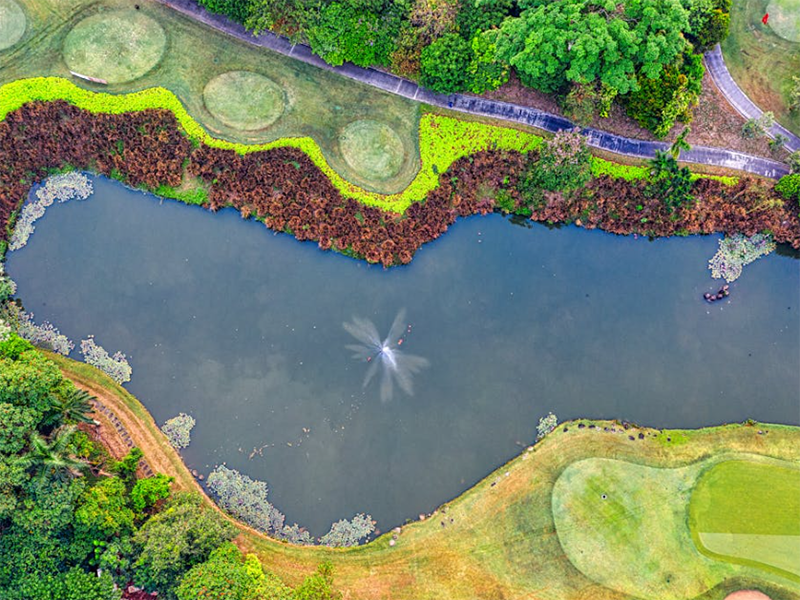 水質(zhì)氰化物測定儀使用條件要求(水質(zhì)氰化物測定儀原理)