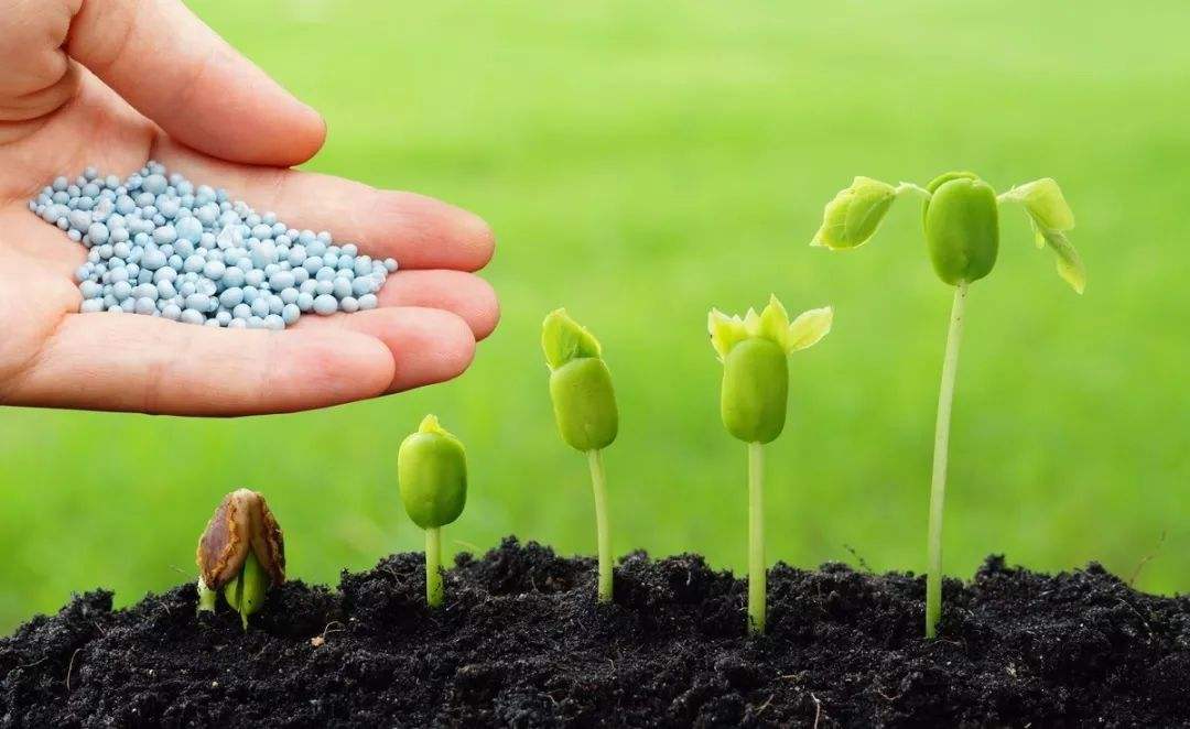 土壤微量元素檢測(cè)器